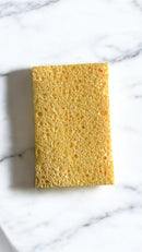 Esponja de coco biodegradável